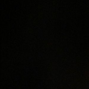 Meet your Posher, Elisa